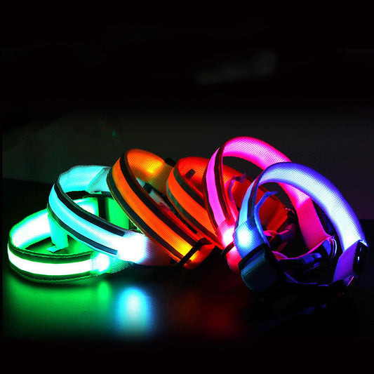 LED Luminous Dog Collar – Anti-Lost Night Safety Collar for Pets
